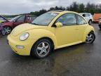 2003 Volkswagen New Beetle Gls VIN: 3VWCK21C53M441407 Lot: 62631504