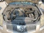 NISSAN MAXIMA SE photo