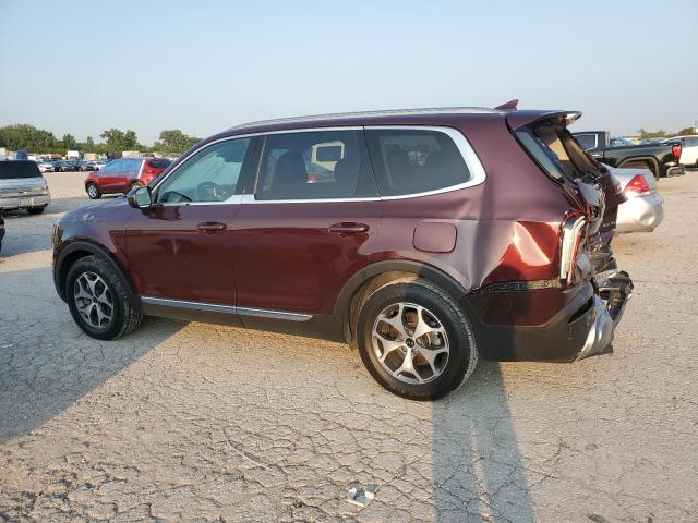 2020 KIA TELLURIDE - 5XYP34HC9LG001853