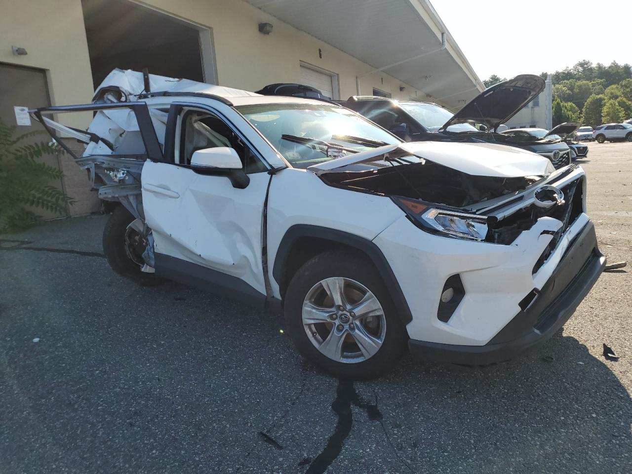 Lot #2819089179 2019 TOYOTA RAV4 XLE