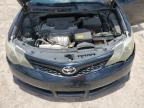 TOYOTA CAMRY L photo