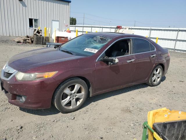 2009 Acura Tsx VIN: JH4CU26649C032517 Lot: 62293674