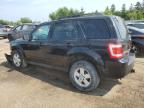 FORD ESCAPE XLT photo