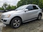 MERCEDES-BENZ ML 350 photo