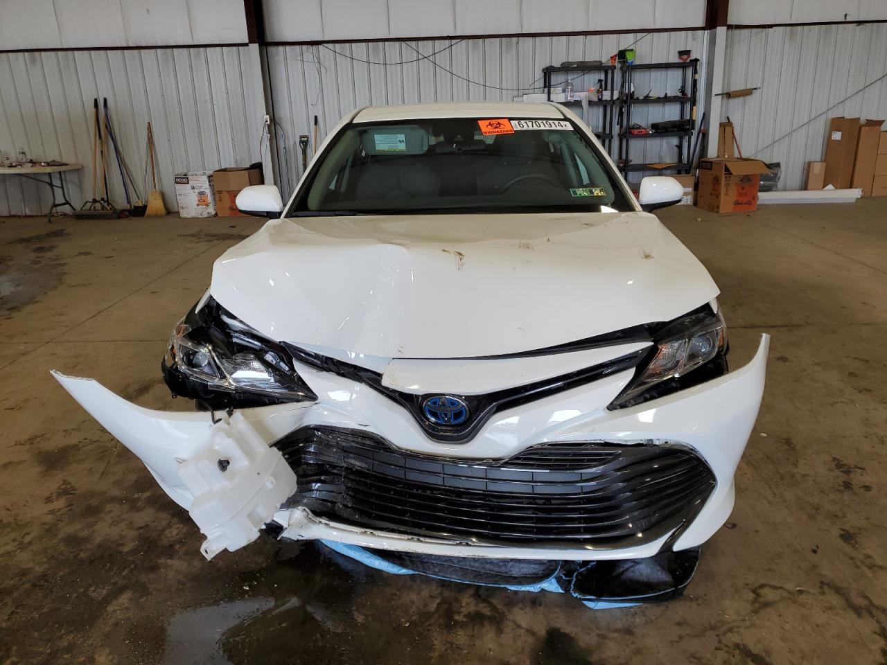 2019 Toyota Camry Le vin: 4T1B31HK5KU515756