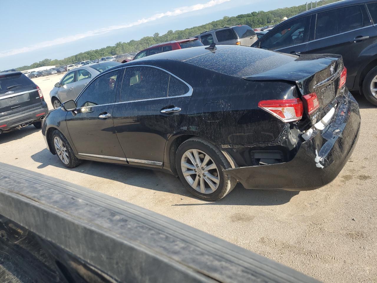 Lot #2893543309 2010 LEXUS ES 350