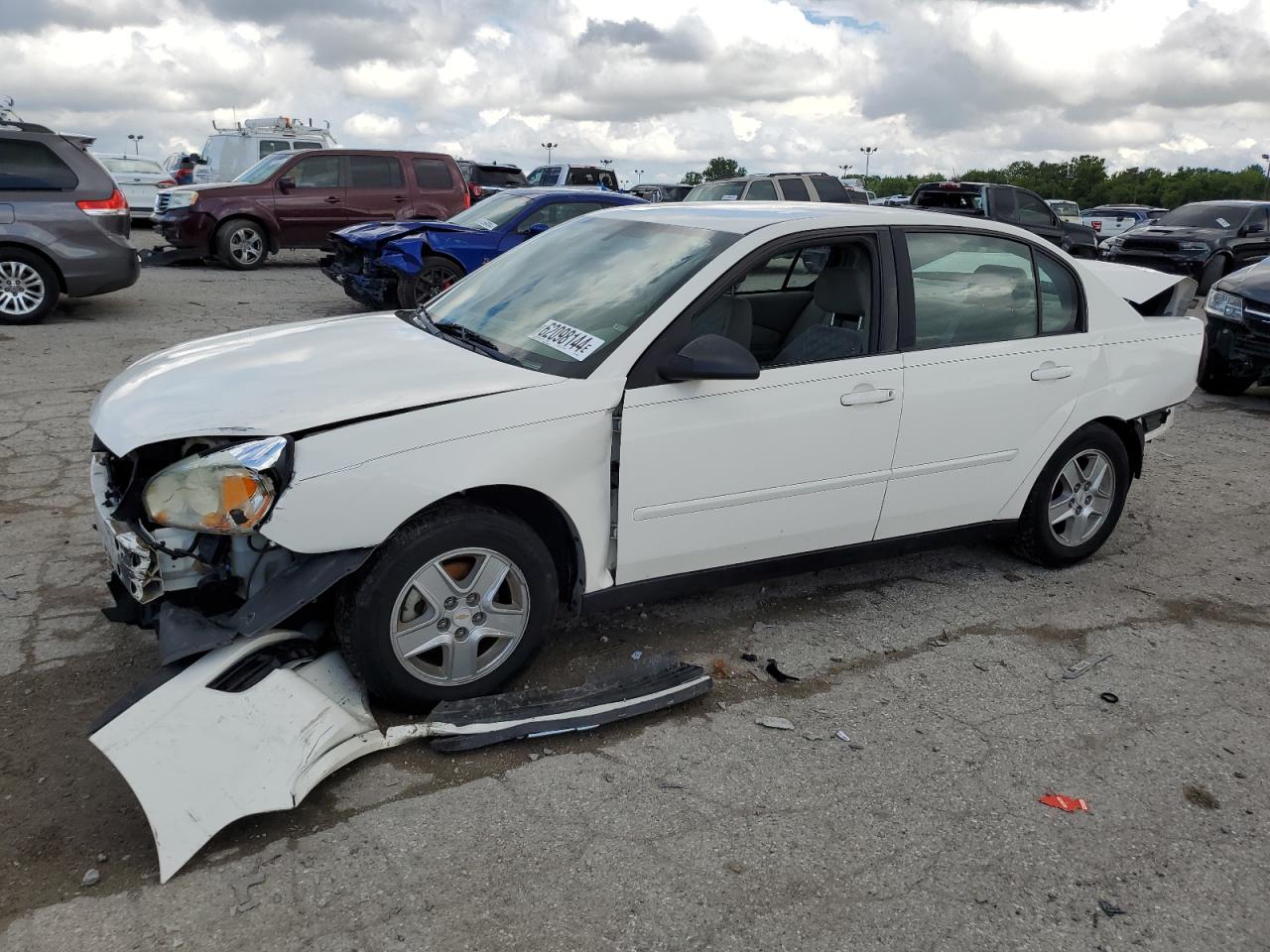 Lot #2938084962 2004 CHEVROLET MALIBU LS