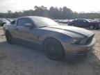 FORD MUSTANG photo