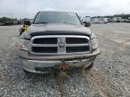 DODGE RAM 1500 photo