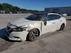 2016 NISSAN MAXIMA 3.5 - 1N4AA6AP3GC426568