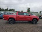 TOYOTA TACOMA DOU photo