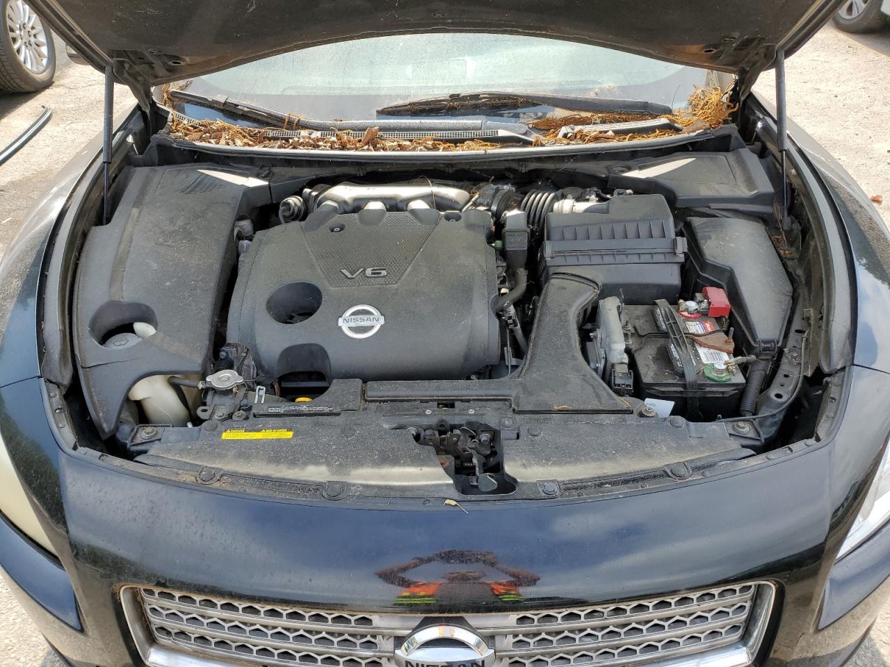 1N4AA5AP7BC843274 2011 Nissan Maxima S