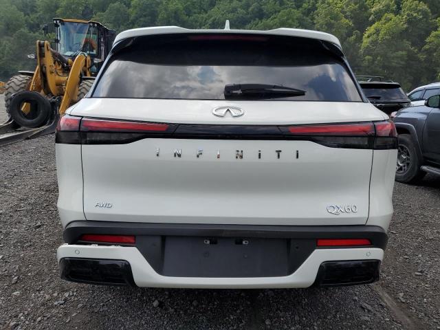 2022 Infiniti Qx60 Pure VIN: 5N1DL1ESXNC334496 Lot: 62676044