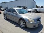 NISSAN MAXIMA SE photo