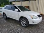 LEXUS RX 330 photo