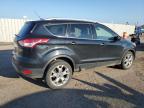 Lot #3023218184 2014 FORD ESCAPE TIT