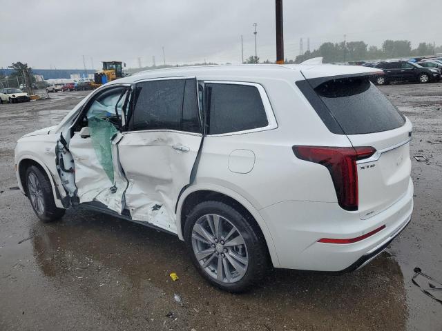 2024 CADILLAC XT6 PREMIU - 1GYKPDRS1RZ747903