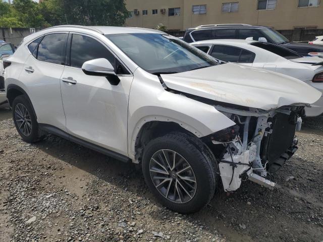 2023 LEXUS NX 250 JTJADCAZ3P2006300