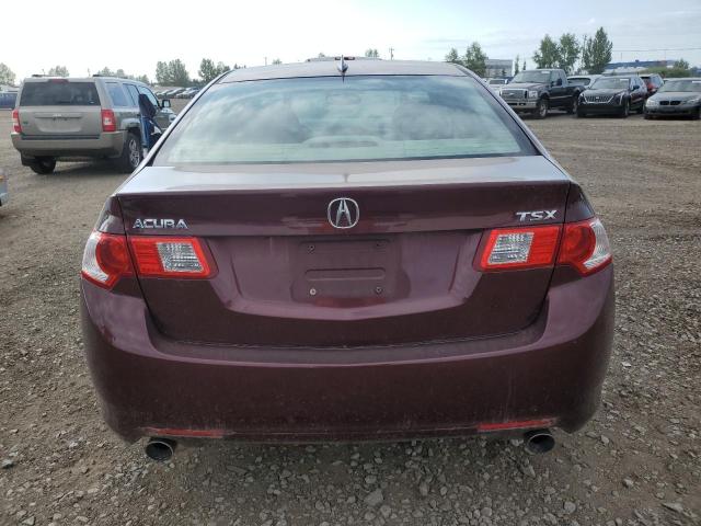 2009 Acura Tsx VIN: JH4CU25609C800690 Lot: 62498684