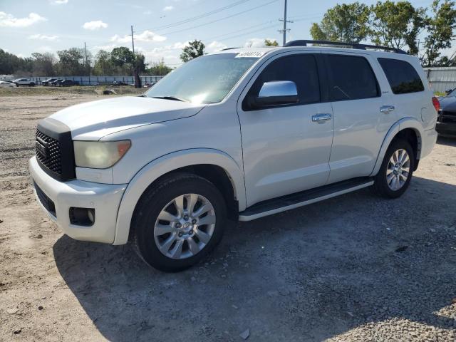 2010 Toyota Sequoia Platinum VIN: 5TDYY5G13AS029594 Lot: 62048774