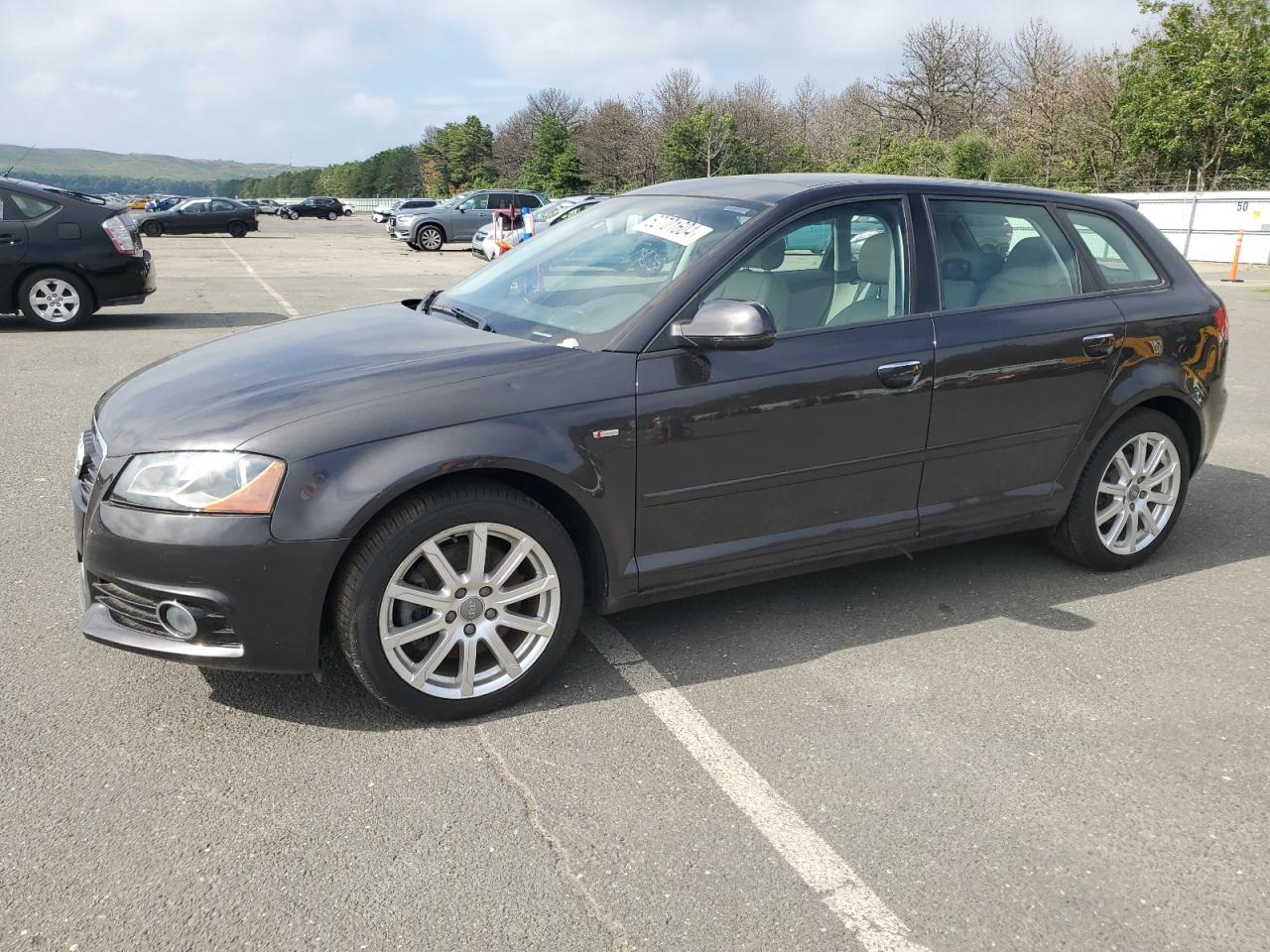 2013 Audi A3 Premium Plus vin: WAUMFAFM4DA030714