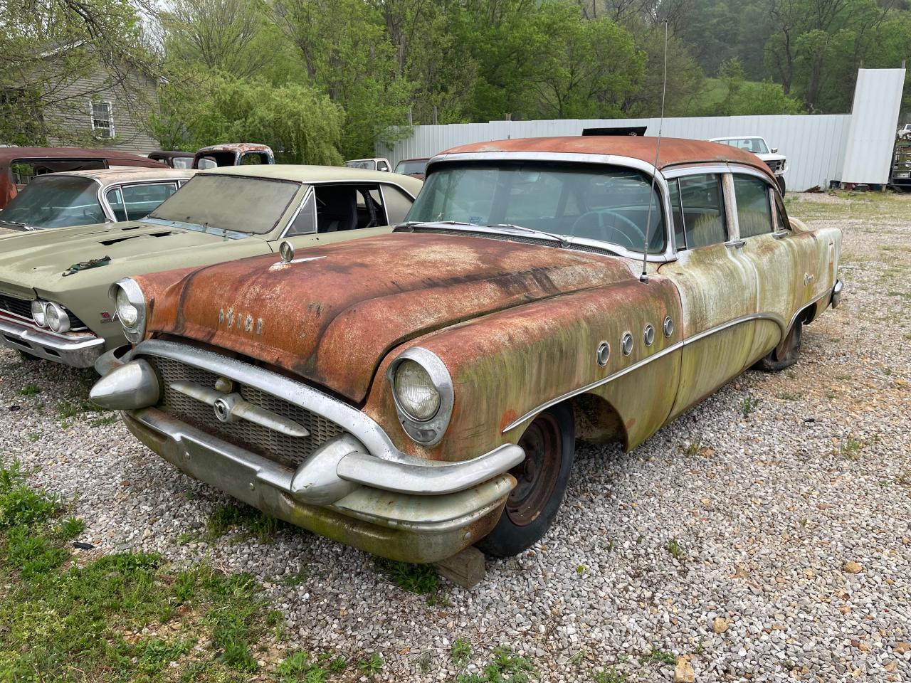 5B6037501 1955 Buick Special