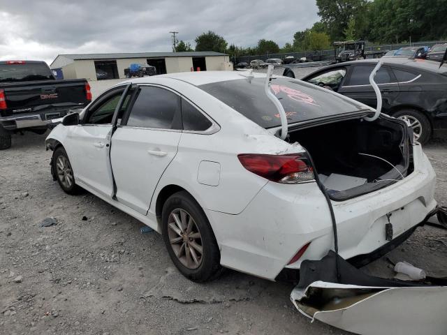 2019 HYUNDAI SONATA SE - 5NPE24AF8KH775307