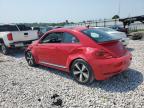 VOLKSWAGEN BEETLE TUR photo