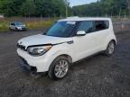 KNDJP3A52K7908956 2019 Kia Soul +