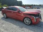 CADILLAC CT4 PREMIU photo