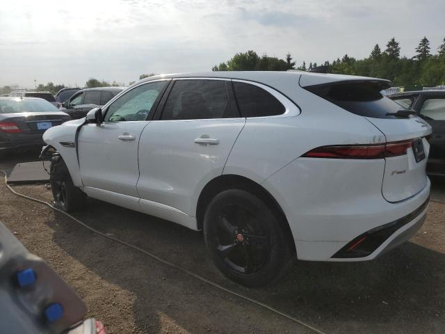 2023 JAGUAR F-PACE R-D - SADCT2EX8PA717910