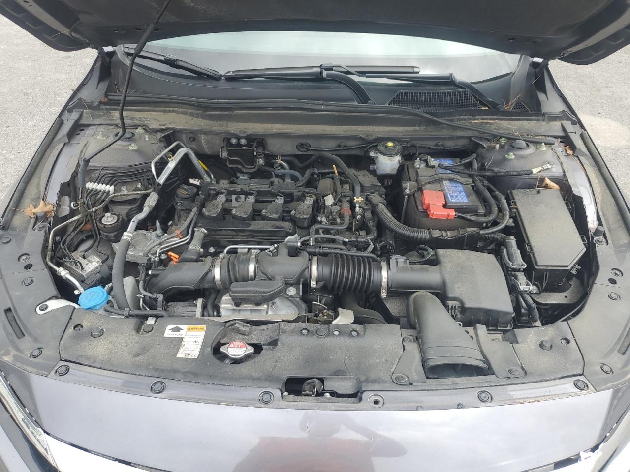 1HGCV1F15MA117546 2021 Honda Accord Lx