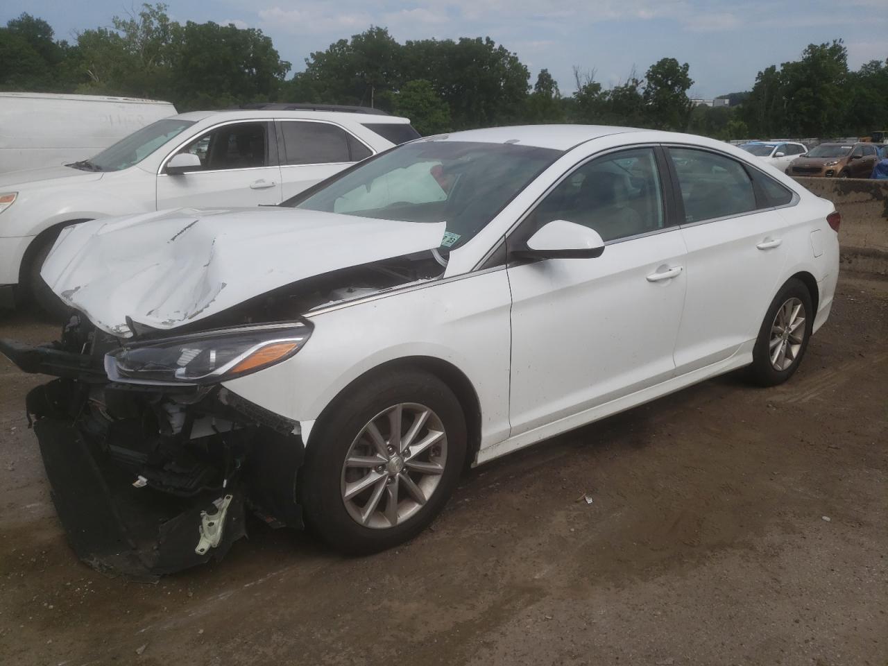 5NPE24AF4JH685604 2018 Hyundai Sonata Se