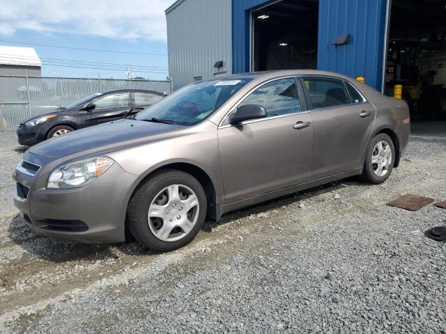 Vin: 1g1zb5eu3bf146962, lot: 63800524, chevrolet malibu ls 2011 img_1