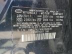 HYUNDAI ELANTRA SE photo