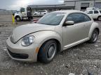 VOLKSWAGEN BEETLE photo