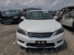 HONDA ACCORD EXL photo