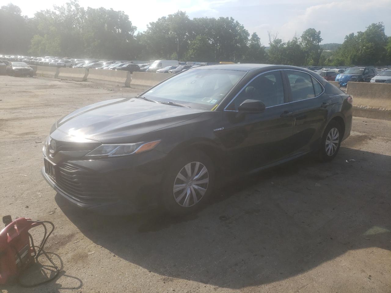 2019 Toyota Camry Le vin: 4T1B31HK4KU006256