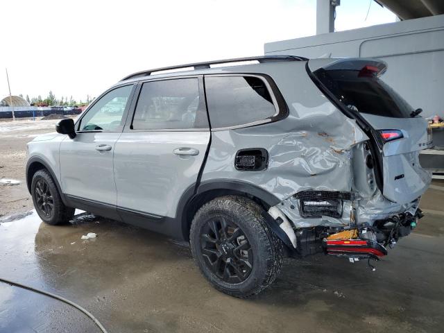 2024 Kia Telluride Sx VIN: 5XYP5DGC0RG462234 Lot: 61014504