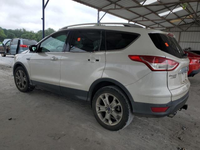 Vin: 1fmcu0j91eue40223, lot: 63904674, ford escape titanium 20142