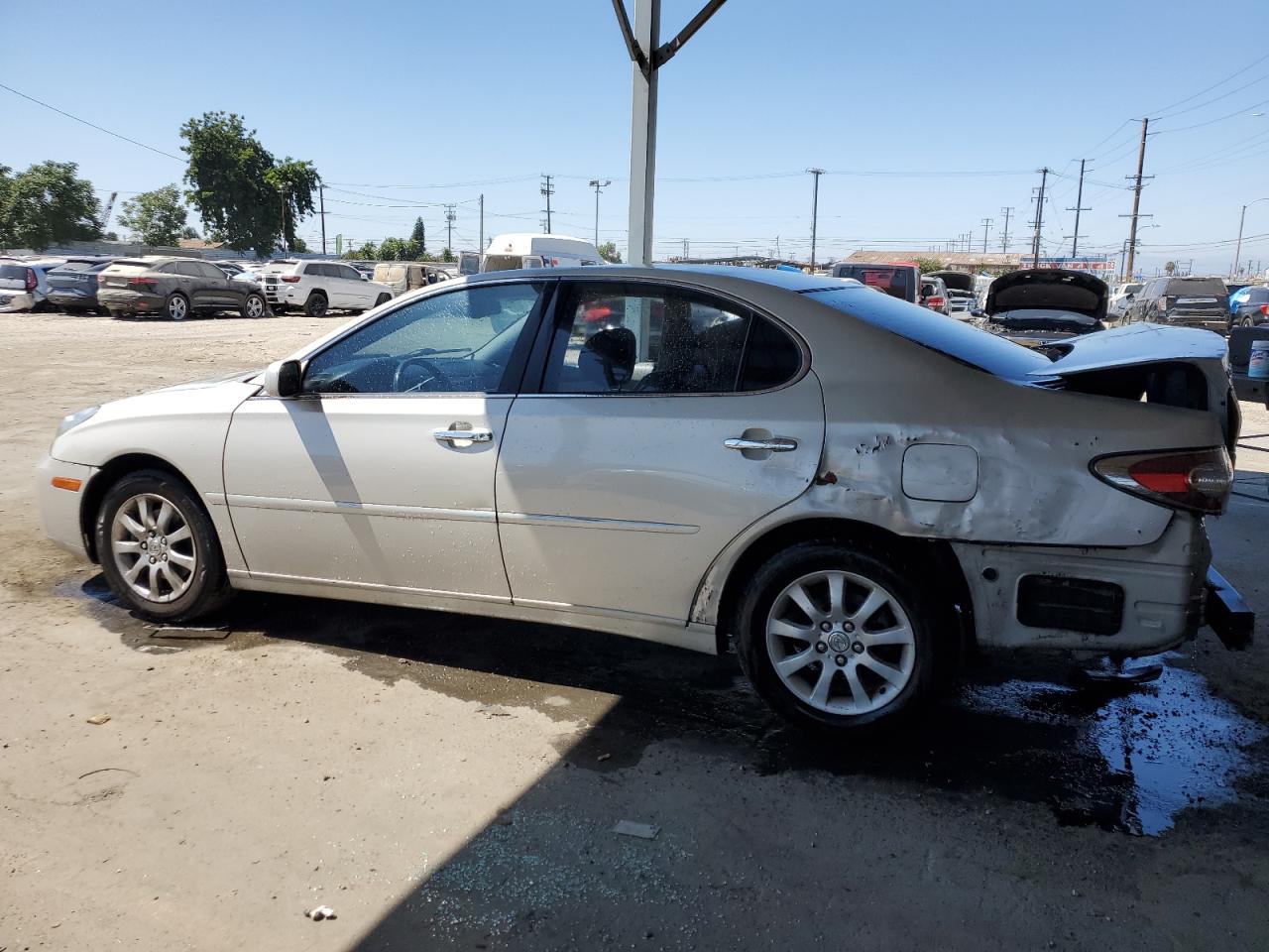 Lot #2976916591 2003 LEXUS ES 300