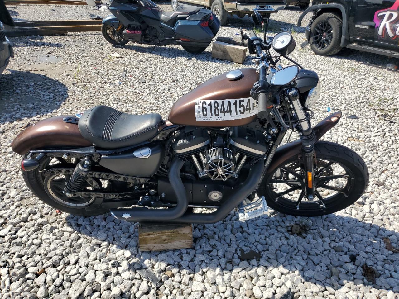 Harley Davidson XL883N / IRON 883 2019 