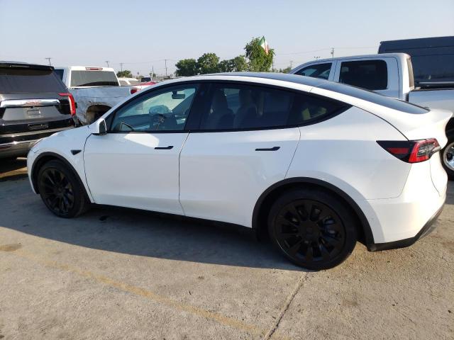 2022 Tesla Model Y VIN: 7SAYGDEE2NF358111 Lot: 62708134