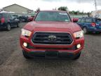 TOYOTA TACOMA DOU photo