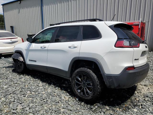 2023 JEEP CHEROKEE A 1C4PJMMB5PD111760