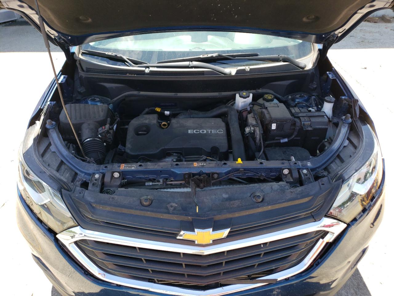 2GNAXJEV8K6302194 2019 Chevrolet Equinox Lt