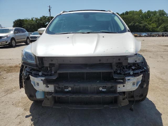 VIN 1FMCU0J98EUA38134 2014 Ford Escape, Titanium no.5