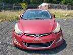 HYUNDAI ELANTRA SE photo