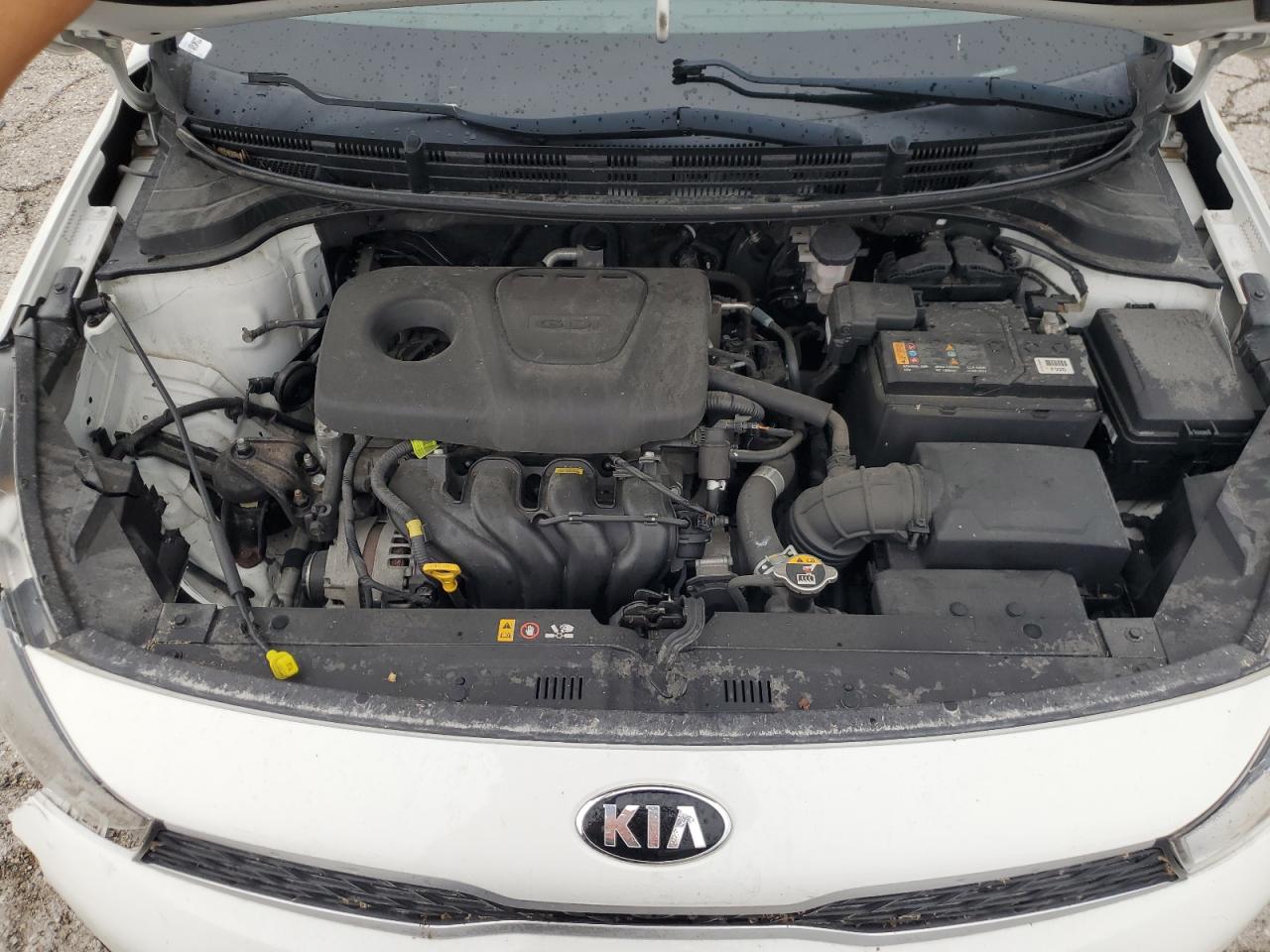 3KPA24ABXKE201503 2019 Kia Rio S