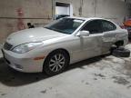 LEXUS ES 300 photo